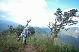 BIB: 
                            <button type="button" onclick="openModal(22372375)" class="btn btn-primary btn-sm float-right btn-popup" data-toggle="modal" data-target=".modal-high-quality">
                        <i class="fas fa-shopping-cart"></i> Add to Cart
                    </button>
                                            <button type="button" onclick="isThisMe(22372375, true)" class="btn btn-success btn-sm float-right btn-popup btn-isme hidden" data-toggle="tooltip" data-placement="bottom" title="นี่คือรูปของคุณใช่ไหม คลิกที่นี่เพื่อเอาเข้าอัลบั้ม">
                        <i class="fas fa-plus"></i> Add to album
                    </button>
                    <button type="button" onclick="isThisMe(22372375, false)" class="btn btn-warning btn-sm float-right btn-popup btn-isnotme hidden">
                        <i class="fas fa-ban"></i> Remove from album
                    </button>